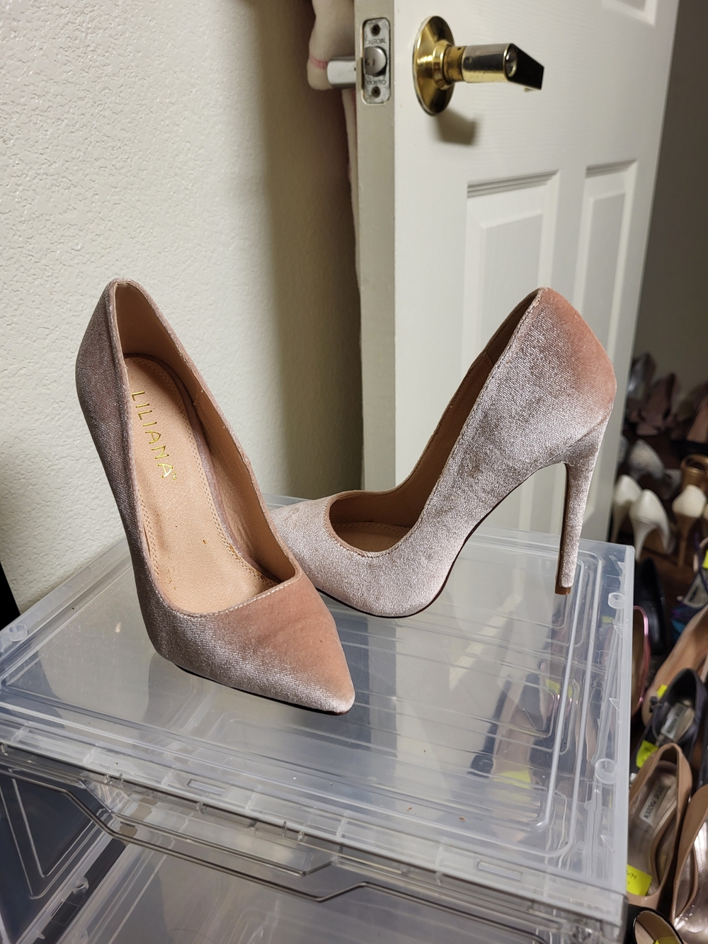 Liliana Blush Velvet Pointed-Toe Stiletto Heels